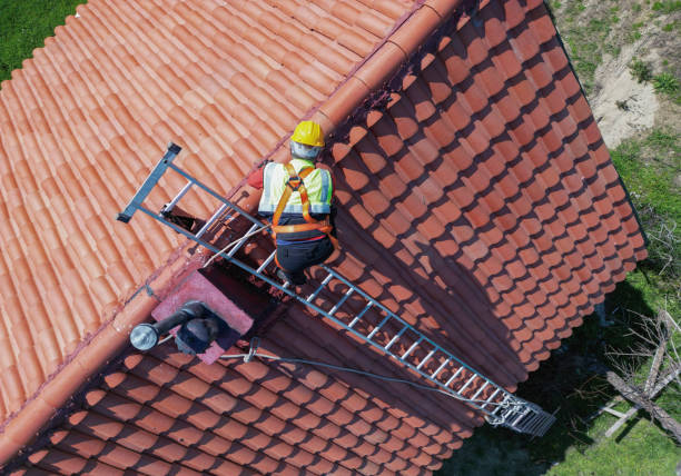 Best Metal Roofing Installation  in Cross Plains, TN